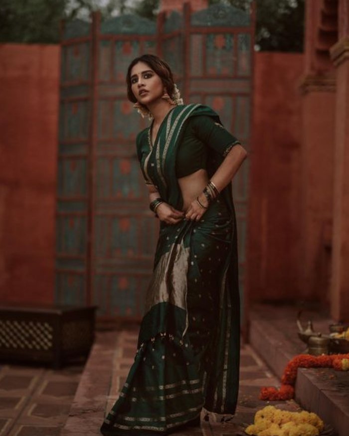 nabha natesh_teluguvox 5